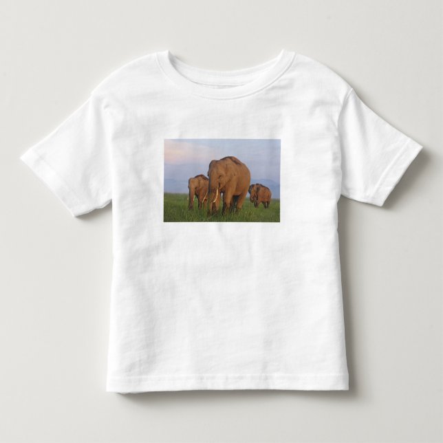 Camiseta De Bebé Elefantes indios en la pradera (Anverso)