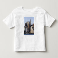 Empire State Building y New York City