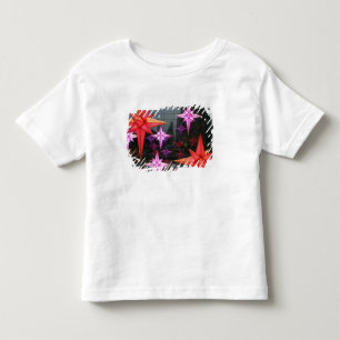 Camiseta De Bebé En New York City. Decoración del navidad dentro