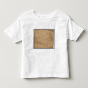 Camiseta De Bebé Encuesta sobre 2 la frontera de Michigan y de