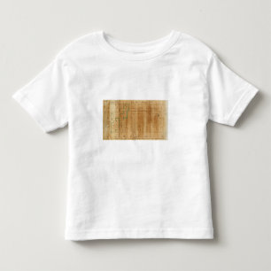 Camiseta De Bebé Encuesta sobre Michigan e Indiana