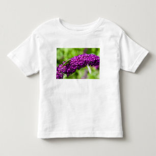Camiseta De Bebé energía de katydid