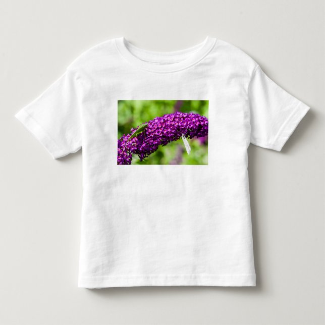 Camiseta De Bebé energía katydid (Anverso)