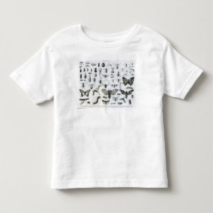 Camiseta De Bebé Entomología