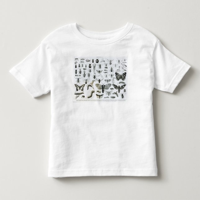 Camiseta De Bebé Entomología (Anverso)