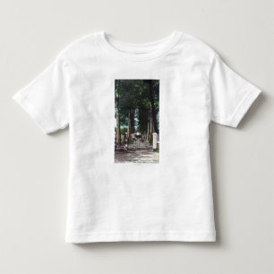 Camiseta De Bebé Entrada a la opinión de Theodore Wagner de las