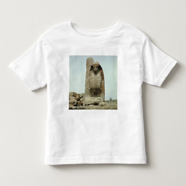 Camiseta De Bebé Entrada con la esfinge tallada (Anverso)