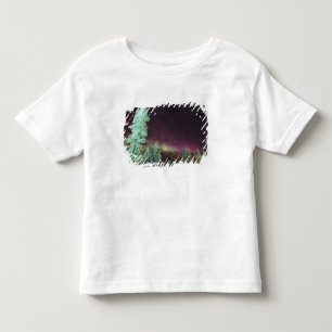 Camiseta De Bebé Escandinavia, Finlandia, Laponia, Kakslauttanen,