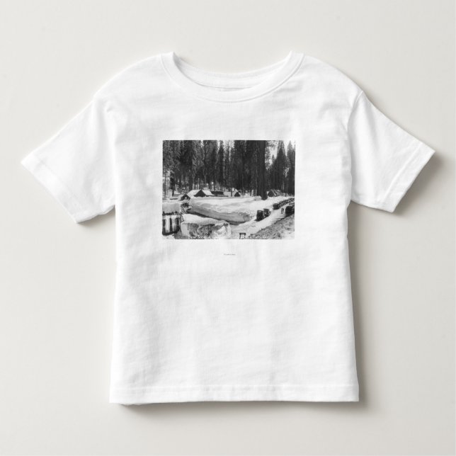 Camiseta De Bebé Escena de la nieve del parque nacional de secoya (Anverso)