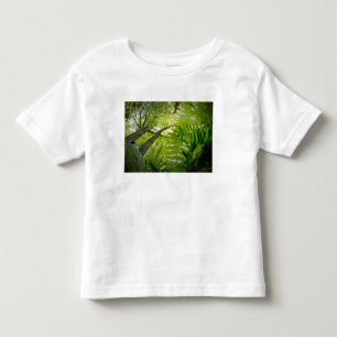 Camiseta De Bebé Escena forestal en el Parque Nacional Acadia, Main
