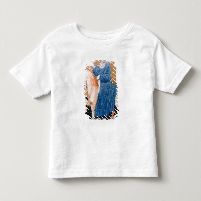 Camiseta De Bebé Escenas de hawking cortés (Anverso)