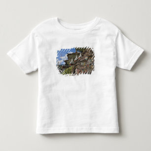 Camiseta De Bebé escritura butanesa en rocas y chortens nepaleses