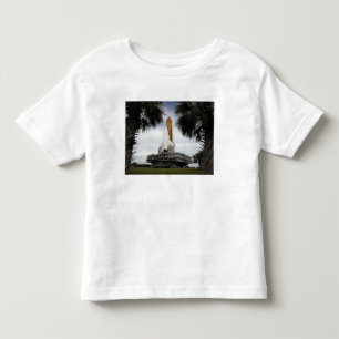 Camiseta De Bebé Esfuerzo del transbordador espacial del marco de