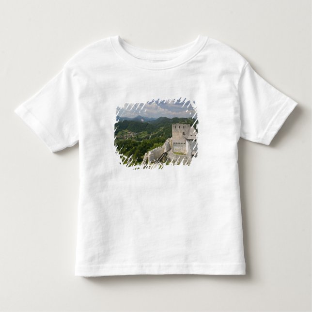 Camiseta De Bebé ESLOVENIA, STAJERSKA Styria), Celje: Vista ciudad (Anverso)