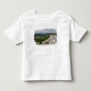 Camiseta De Bebé ESLOVENIA, STAJERSKA Styria), Celje: Vista de la c