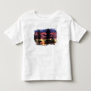 CAMISETA DE BEBÉ ESPACIO NATURAL DE HUSTON PARK, WYOMING. EE. UU. A