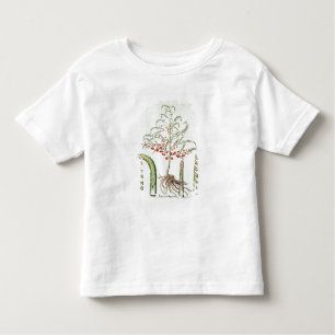 Camiseta De Bebé Espárrago común en flor y fruta, del 'Ho