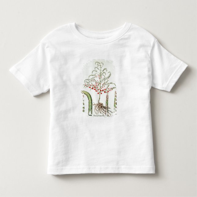 Camiseta De Bebé Espárrago común en flor y fruta, del 'Ho (Anverso)
