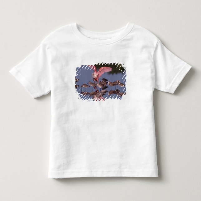 Camiseta De Bebé Espátula rosada con zarapitos en aguas poco profun (Anverso)