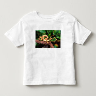 Camiseta De Bebé Espectro de Macleay (insecto palo espinoso),