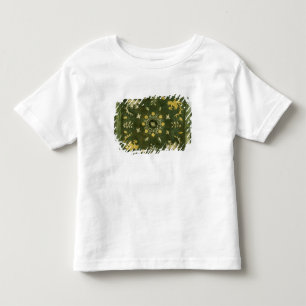 Camiseta De Bebé Espejo, bronce con laqueado detrás
