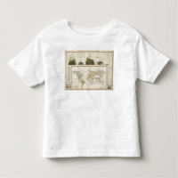 Esquema de la geografía de la planta