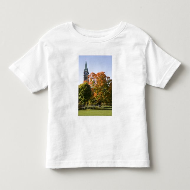 Camiseta De Bebé Estacione junto al edificio del Parlamento en Otta (Anverso)