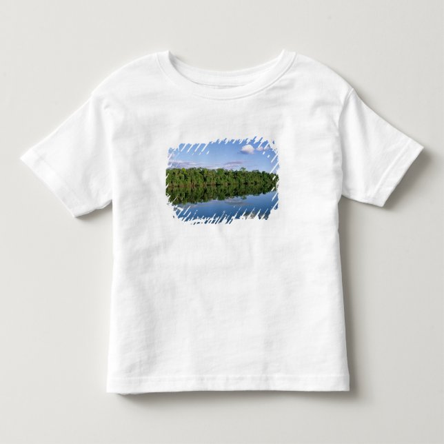 Camiseta De Bebé Estado de Mato Grosso, Amazonas, Brasil. Bosques (Anverso)