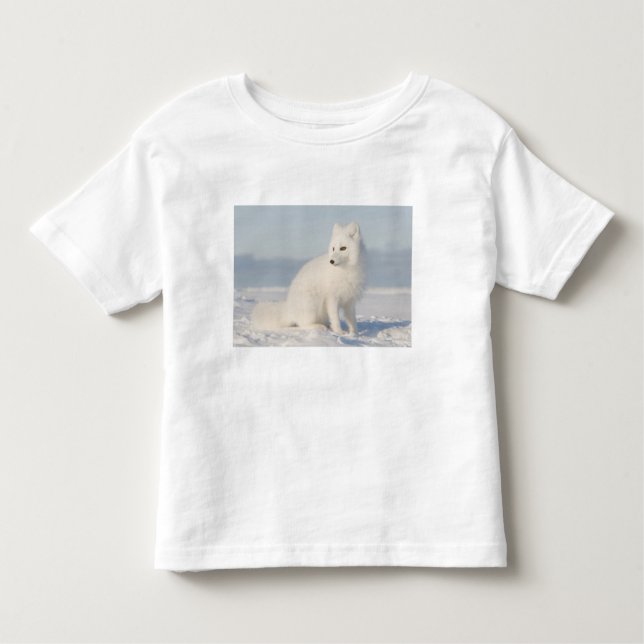 Camiseta De Bebé Estados Unidos, Alaska, 1002 Llanura costera del Á (Anverso)