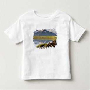 Camiseta De Bebé Estados Unidos, Alaska, Parque Nacional Katmai, Os