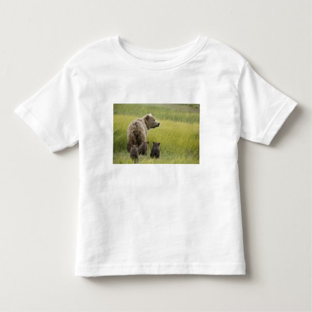 Camiseta De Bebé Estados Unidos, Alaska, Parque Nacional Lake Clark (Anverso)