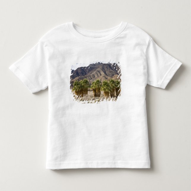 Camiseta De Bebé Estados Unidos, California, Parque Estatal del Des (Anverso)