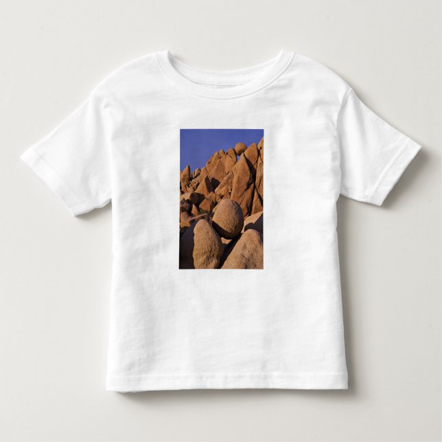 Camiseta De Bebé Estados Unidos, California, Parque Nacional Joshua (Anverso)