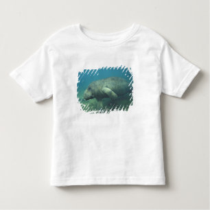 Camiseta De Bebé Estados Unidos, FL, Manatee