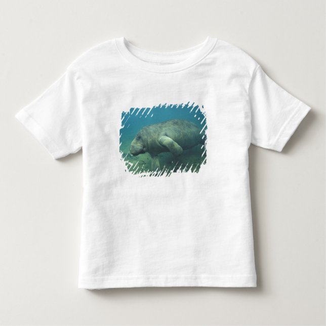 Camiseta De Bebé Estados Unidos, FL, Manatee (Anverso)