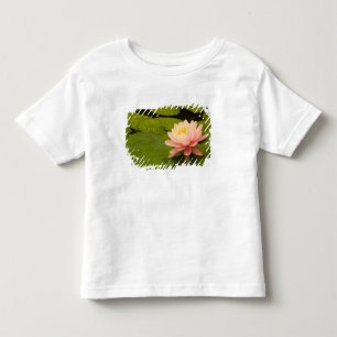Camiseta De Bebé Estados Unidos, Maryland, Westminster, Union