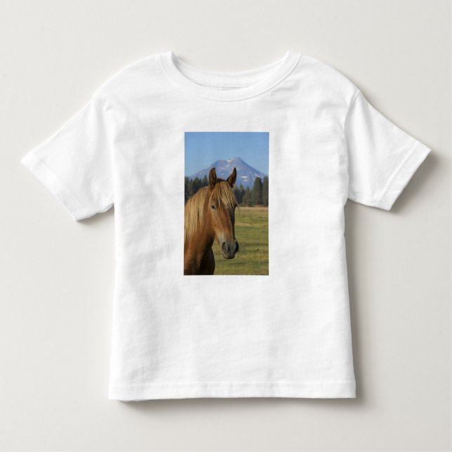 Camiseta De Bebé Estados Unidos, Oregón, Hermanas, vista de las Tre (Anverso)