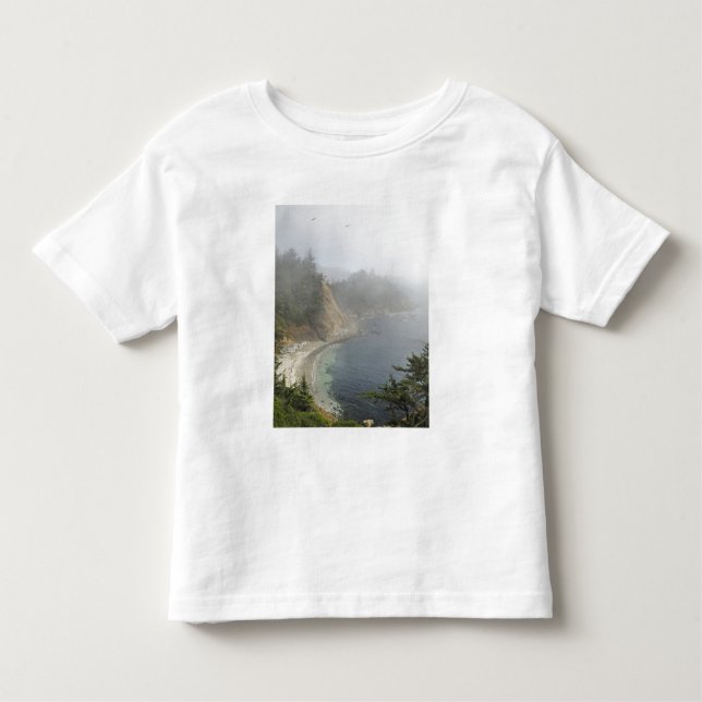 Camiseta De Bebé Estados Unidos, Oregón, Ocean View, Cabo Arago, Ba (Anverso)