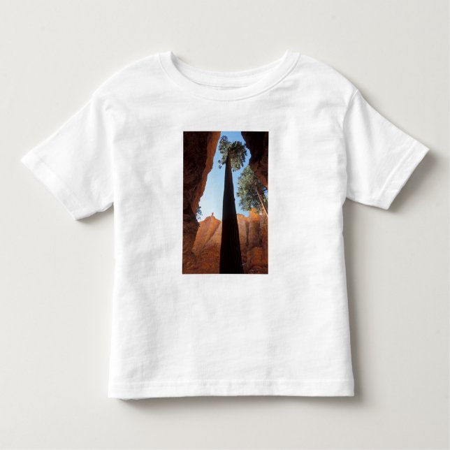 Camiseta De Bebé Estados Unidos, Utah, Parque Nacional del Cañón Br (Anverso)