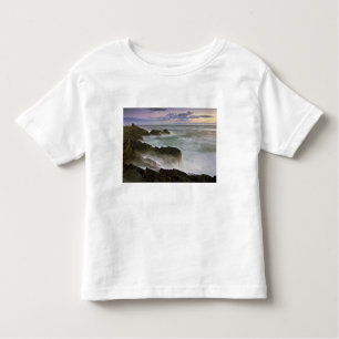 Camiseta De Bebé Estados Unidos, Washington, Islas San Juan.  Choqu