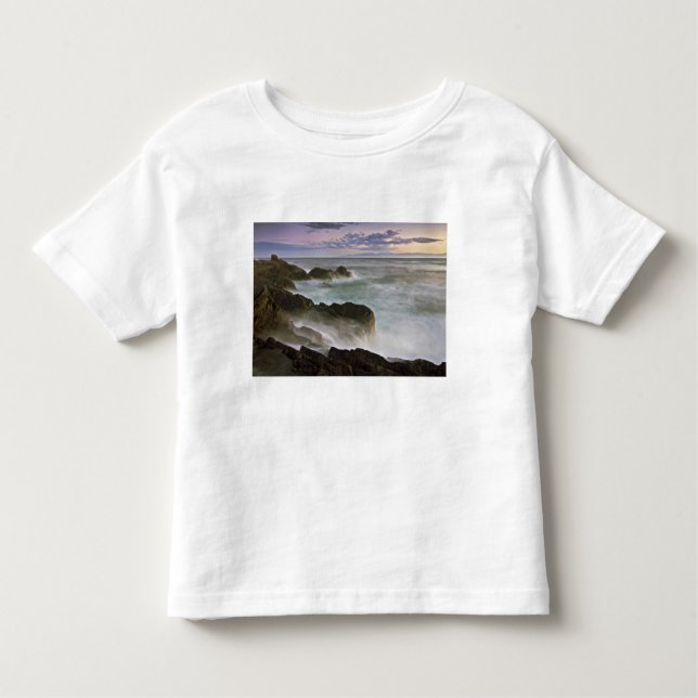 Camiseta De Bebé Estados Unidos, Washington, Islas San Juan.  Choqu (Anverso)