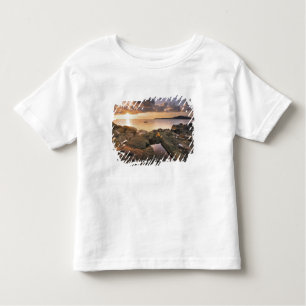 Camiseta De Bebé Estados Unidos, Washington, Islas San Juan.  Un 2 
