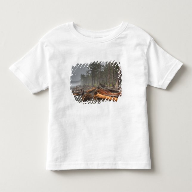 Camiseta De Bebé Estados Unidos, Washington, Parque Nacional Olímpi (Anverso)