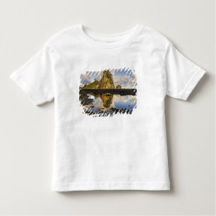 Camiseta De Bebé Estados Unidos, Washington, Parque Nacional Olímpi