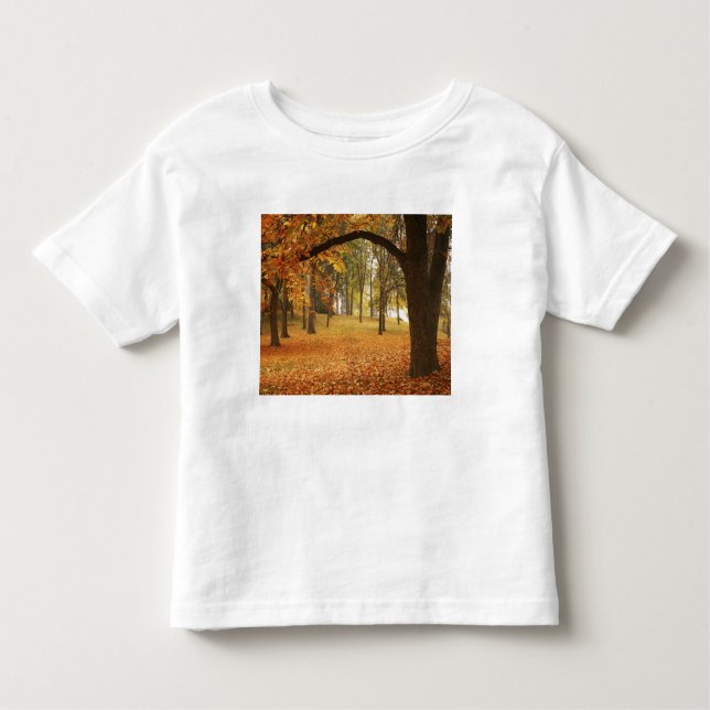 Camiseta De Bebé Estados Unidos, Washington, Spokane, Manito Park,  (Anverso)
