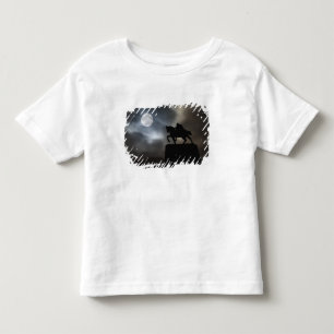 Camiseta De Bebé Estatua del rey Kralja Tomislava silueteada