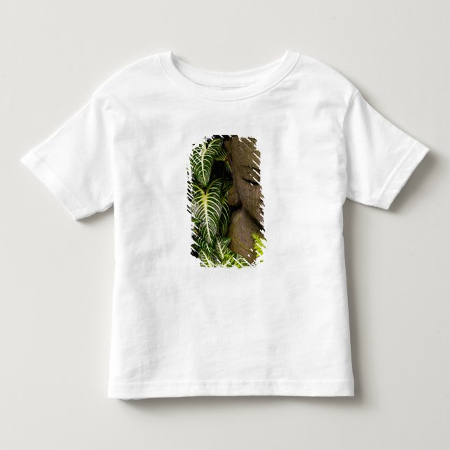 Camiseta De Bebé Estatua en una información de ubicación del (Anverso)