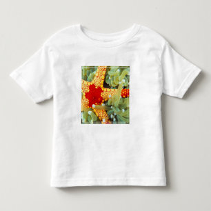 Camiseta De Bebé Estrella de mar roja y amarilla