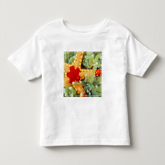 Camiseta De Bebé Estrella de mar roja y amarilla (Anverso)