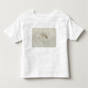 Camiseta De Bebé Estudio de un Fox que se agacha, haciendo frente